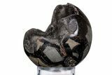 Polished, Septarian Geode Sphere - Madagascar #219107-1